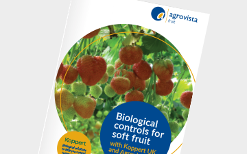 Fruit - Biological controls for soft fruit